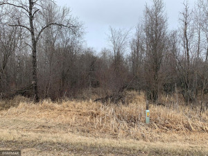 Photo for TBD 87th Street SE, Baudette, MN 56623 - Listing #5727336 TBD 87th Street SE, Baudette, MN 56623
