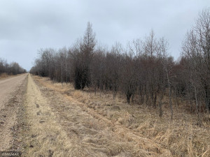 Photo for TBD 87th Street SE, Baudette, MN 56623 - Listing #5727336 TBD 87th Street SE, Baudette, MN 56623