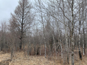 Photo for TBD 87th Street SE, Baudette, MN 56623 - Listing #5727336 TBD 87th Street SE, Baudette, MN 56623