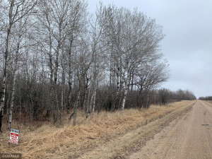 TBD 87th Street SE, Baudette, MN 56623