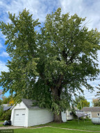 Photo for 405 & 407 Lambert Street, Oklee, MN 56742 - Listing #6111997 405 & 407 Lambert Street, Oklee, MN 56742