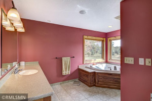 35002 Wagner Hill Way, Cannon Falls, MN 55009