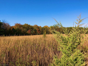 35002 Wagner Hill Way, Cannon Falls, MN 55009