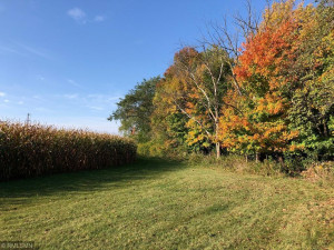 35002 Wagner Hill Way, Cannon Falls, MN 55009
