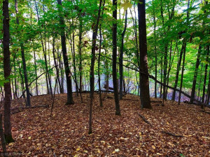 35002 Wagner Hill Way, Cannon Falls, MN 55009