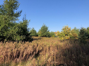35002 Wagner Hill Way, Cannon Falls, MN 55009