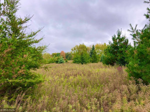 35002 Wagner Hill Way, Cannon Falls, MN 55009