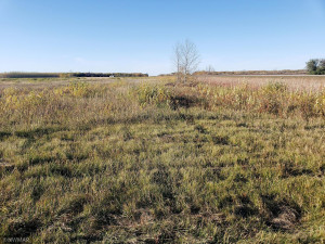 Photo for TBD Hwy 59, Newfolden, MN 56738 - Listing #6114920 TBD Hwy 59, Newfolden, MN 56738