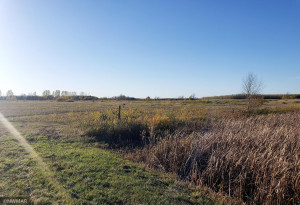 Photo for TBD Hwy 59, Newfolden, MN 56738 - Listing #6114920 TBD Hwy 59, Newfolden, MN 56738