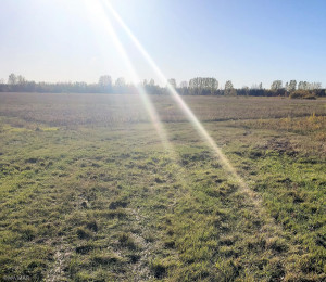 Photo for TBD Hwy 59, Newfolden, MN 56738 - Listing #6114920 TBD Hwy 59, Newfolden, MN 56738