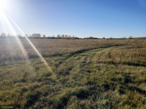 Photo for TBD Hwy 59, Newfolden, MN 56738 - Listing #6114920 TBD Hwy 59, Newfolden, MN 56738