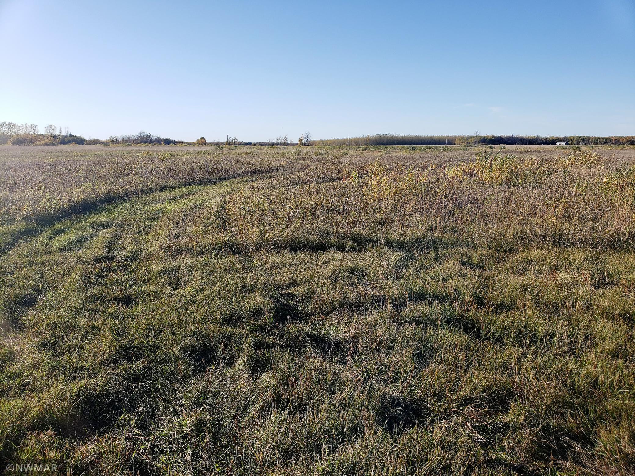Photo for TBD Hwy 59, Newfolden, MN 56738 - Listing #6114920 TBD Hwy 59, Newfolden, MN 56738