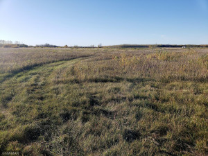 Photo for TBD Hwy 59, Newfolden, MN 56738 - Listing #6114920 TBD Hwy 59, Newfolden, MN 56738