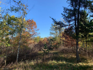 Photo for 12823 SW Scenic View Drive SW, Bemidji, MN 56601 - Listing #6115707 12823 SW Scenic View Drive SW, Bemidji, MN 56601