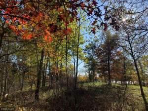 Photo for 12823 SW Scenic View Drive SW, Bemidji, MN 56601 - Listing #6115707 12823 SW Scenic View Drive SW, Bemidji, MN 56601