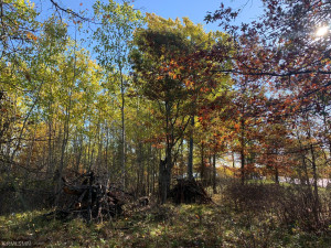 Photo for 12823 SW Scenic View Drive SW, Bemidji, MN 56601 - Listing #6115707 12823 SW Scenic View Drive SW, Bemidji, MN 56601