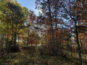 Photo for 12823 SW Scenic View Drive SW, Bemidji, MN 56601 - Listing #6115707 12823 SW Scenic View Drive SW, Bemidji, MN 56601