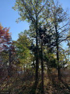 Photo for 12823 SW Scenic View Drive SW, Bemidji, MN 56601 - Listing #6115707 12823 SW Scenic View Drive SW, Bemidji, MN 56601