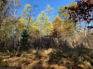 Photo for 12823 SW Scenic View Drive SW, Bemidji, MN 56601 - Listing #6115707 12823 SW Scenic View Drive SW, Bemidji, MN 56601
