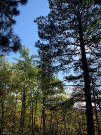 Photo for 12823 SW Scenic View Drive SW, Bemidji, MN 56601 - Listing #6115707 12823 SW Scenic View Drive SW, Bemidji, MN 56601