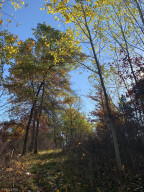 Photo for 12823 SW Scenic View Drive SW, Bemidji, MN 56601 - Listing #6115707 12823 SW Scenic View Drive SW, Bemidji, MN 56601