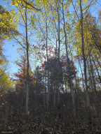 Photo for 12823 SW Scenic View Drive SW, Bemidji, MN 56601 - Listing #6115707 12823 SW Scenic View Drive SW, Bemidji, MN 56601