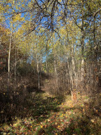 Photo for 12823 SW Scenic View Drive SW, Bemidji, MN 56601 - Listing #6115707 12823 SW Scenic View Drive SW, Bemidji, MN 56601