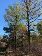 Photo for 12823 SW Scenic View Drive SW, Bemidji, MN 56601 - Listing #6115707 12823 SW Scenic View Drive SW, Bemidji, MN 56601