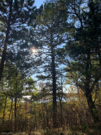Photo for 12823 SW Scenic View Drive SW, Bemidji, MN 56601 - Listing #6115707 12823 SW Scenic View Drive SW, Bemidji, MN 56601