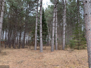 Photo for TBD Elk Haven Drive, Nevis, MN 56467 - Listing #6116217 TBD Elk Haven Drive, Nevis, MN 56467