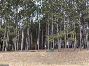 Photo for TBD Elk Haven Drive, Nevis, MN 56467 - Listing #6116217 TBD Elk Haven Drive, Nevis, MN 56467