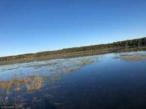 Photo for TBD Elk Haven Drive, Nevis, MN 56467 - Listing #6116217 TBD Elk Haven Drive, Nevis, MN 56467