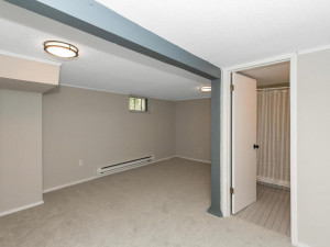 Photo for 991 Stryker Avenue, West Saint Paul, MN 55118 - Listing #6109307 Lower level family room with all new carpet, paint, and lighting.