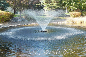 Photo for 15108 Cimarron Way, Rosemount, MN 55068 - Listing #6114125 Beautiful pond and fountain, in commons area, behind home!