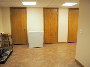Photo for 3801 Riverton Avenue, Eagan, MN 55122 - Listing #6116062 4th BR or rec/play room. Currently used for dogs and storage.
