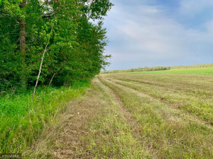Photo for TBD 38TH ST NW, Williams, MN 56686 - Listing #6087782 TBD 38TH ST NW, Williams, MN 56686