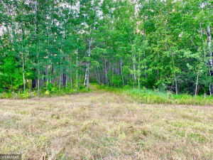 Photo for TBD 38TH ST NW, Williams, MN 56686 - Listing #6087782 TBD 38TH ST NW, Williams, MN 56686