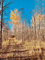 Photo for TBD 38TH ST NW, Williams, MN 56686 - Listing #6087782 TBD 38TH ST NW, Williams, MN 56686