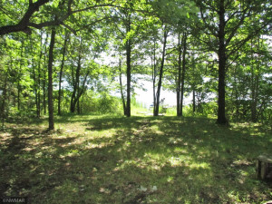 Photo for TBD Turtle River Island, Bemidji, MN 56601 - Listing #6120890 TBD Turtle River Island, Bemidji, MN 56601