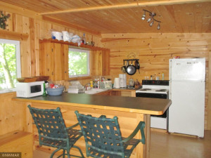 Photo for TBD Turtle River Island, Bemidji, MN 56601 - Listing #6120890 TBD Turtle River Island, Bemidji, MN 56601