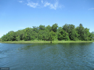 Photo for TBD Turtle River Island, Bemidji, MN 56601 - Listing #6120890 TBD Turtle River Island, Bemidji, MN 56601