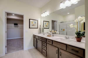 Photo for 18215 Hideaway Trail, Lakeville, MN 55044 - Listing #6118056 Large Owner's Bath with dual vanities, personal water closet, linen closet, shower and two walk in closets!