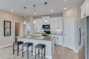 Photo for 18215 Hideaway Trail, Lakeville, MN 55044 - Listing #6118056 Gorgeous kitchen with walk in pantry, dual oven push in range, vented microwave, side by side fridge and quartz counter top.