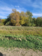Photo for TBD 160 Avenue, Greenbush, MN 56726 - Listing #6124138 TBD 160 Avenue, Greenbush, MN 56726