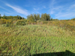 Photo for TBD 160 Avenue, Greenbush, MN 56726 - Listing #6124138 vmatxsls06_1272918698384-1-20210923_151123