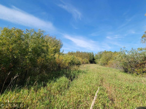 Photo for TBD 160 Avenue, Greenbush, MN 56726 - Listing #6124138 TBD 160 Avenue, Greenbush, MN 56726