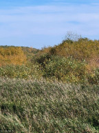 Photo for TBD 160 Avenue, Greenbush, MN 56726 - Listing #6124138 TBD 160 Avenue, Greenbush, MN 56726