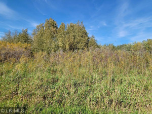 Photo for TBD 160 Avenue, Greenbush, MN 56726 - Listing #6124138 vmacocss05_1275615123067-1-20210923_151021