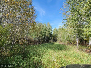 Photo for TBD 160 Avenue, Greenbush, MN 56726 - Listing #6124138 vmacocss05_1275615044942-1-20210923_151424
