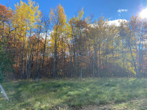 Photo for TBD Explorer Circle, Park Rapids, MN 56470 - Listing #6129031 TBD Explorer Circle, Park Rapids, MN 56470